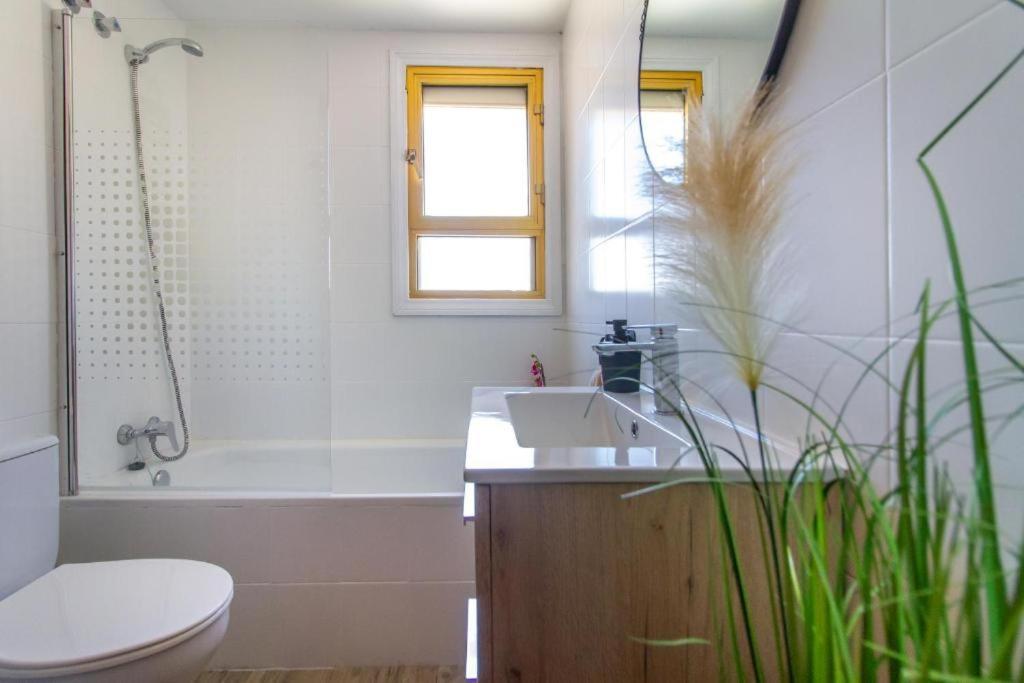 Sol Y Luz Apartamento Levante Centro เบนิดอร์ม ภายนอก รูปภาพ